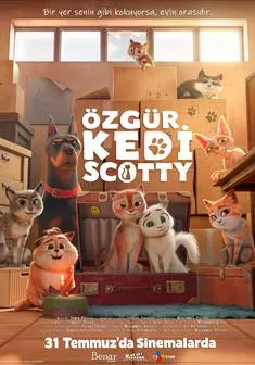 Özgür Kedi Scotty — CJ ENM
